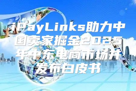 iPayLinks助力中国卖家掘金2025年中东电商市场并发布白皮书