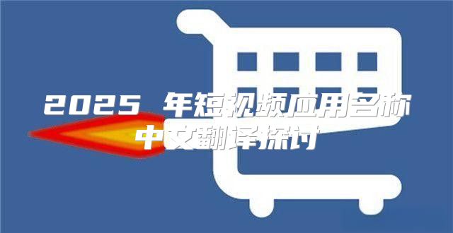 2025 年短视频应用名称中文翻译探讨