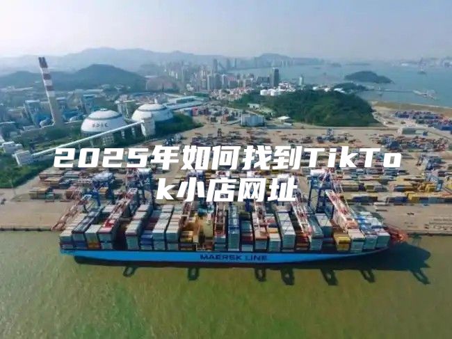 2025年如何找到TikTok小店网址