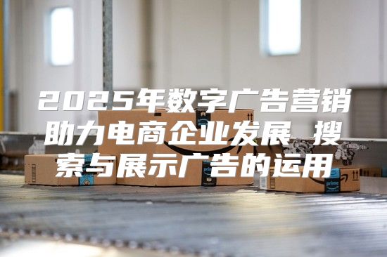 2025年数字广告营销助力电商企业发展 搜索与展示广告的运用
