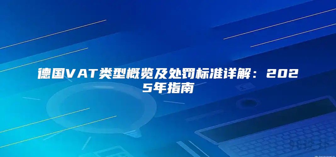 德国VAT类型概览及处罚标准详解：2025年指南