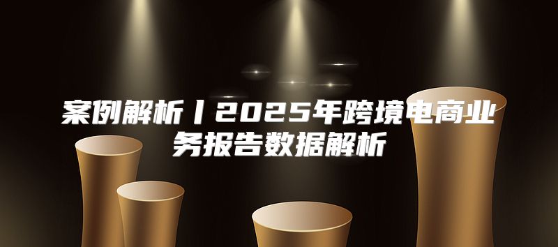 案例解析丨2025年跨境电商业务报告数据解析