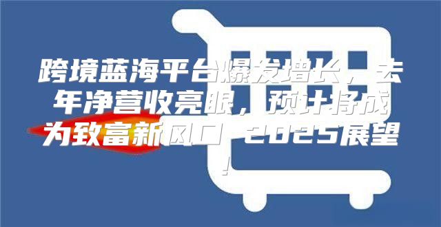 跨境蓝海平台爆发增长，去年净营收亮眼，预计将成为致富新风口 2025展望！