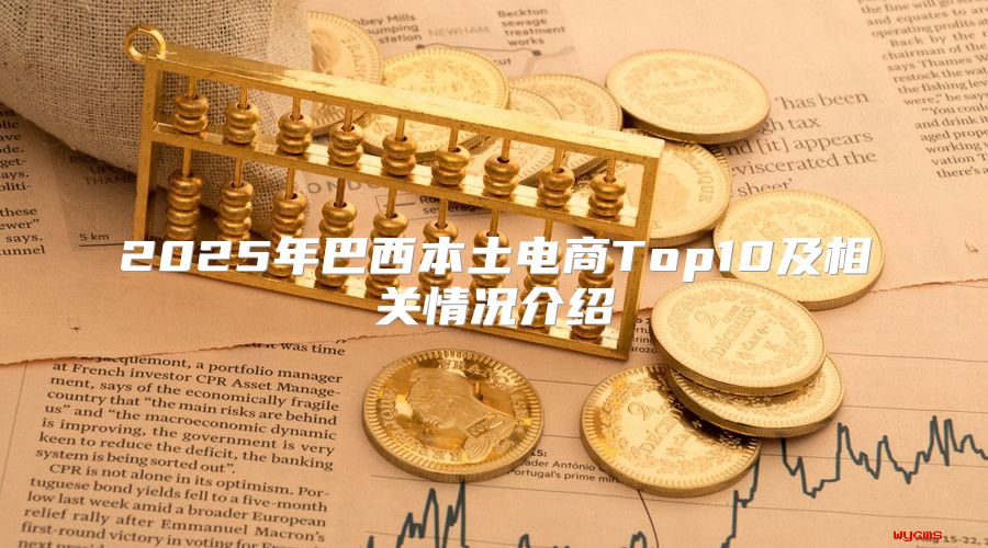 2025年巴西本土电商Top10及相关情况介绍