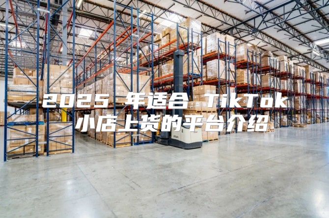 2025 年适合 TikTok 小店上货的平台介绍