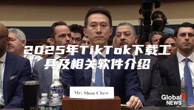 2025年TikTok下载工具及相关软件介绍