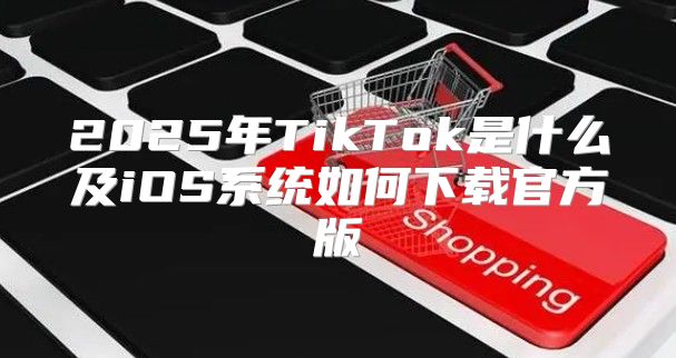 2025年TikTok是什么及iOS系统如何下载官方版