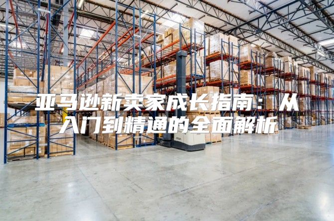 亚马逊新卖家成长指南：从入门到精通的全面解析