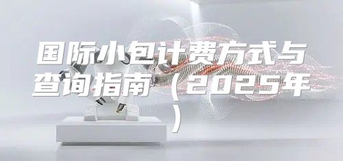 国际小包计费方式与查询指南2025年