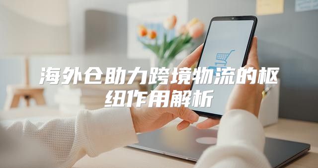 海外仓助力跨境物流的枢纽作用解析
