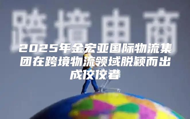2025年金宏亚国际物流集团在跨境物流领域脱颖而出成佼佼者