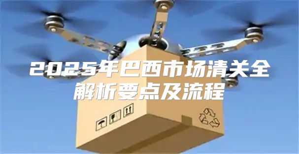 2025年巴西市场清关全解析要点及流程