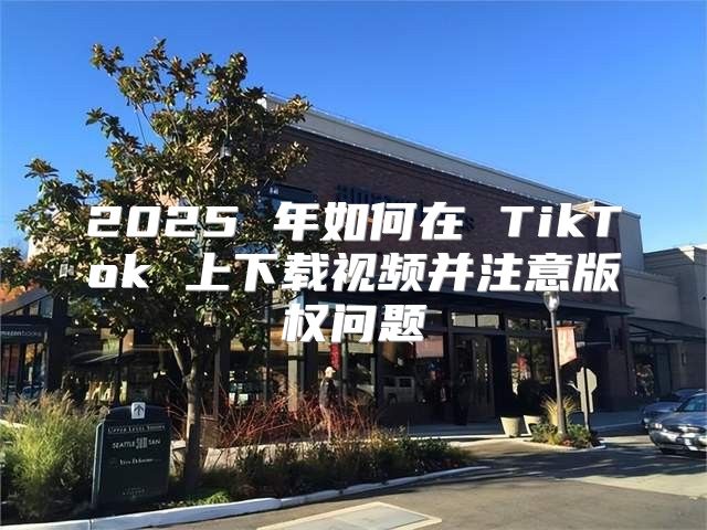 2025 年如何在 TikTok 上下载视频并注意版权问题