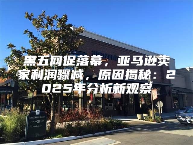 黑五网促落幕，亚马逊卖家利润骤减，原因揭秘：2025年分析新观察