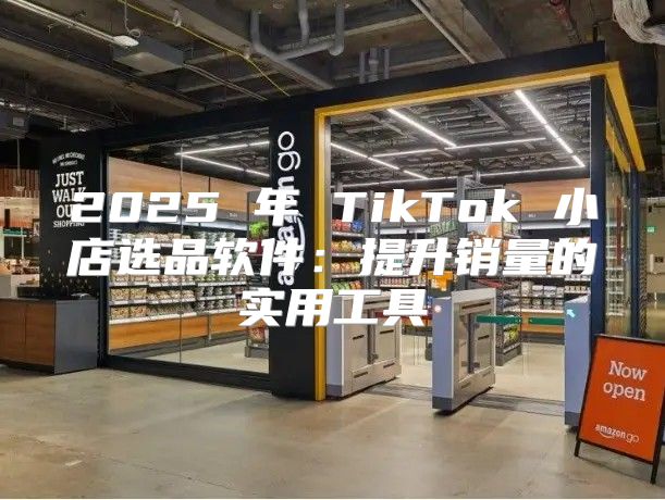 2025 年 TikTok 小店选品软件：提升销量的实用工具