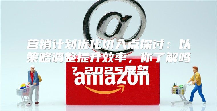 营销计划优化切入点探讨：以策略调整提升效率，你了解吗？2025展望