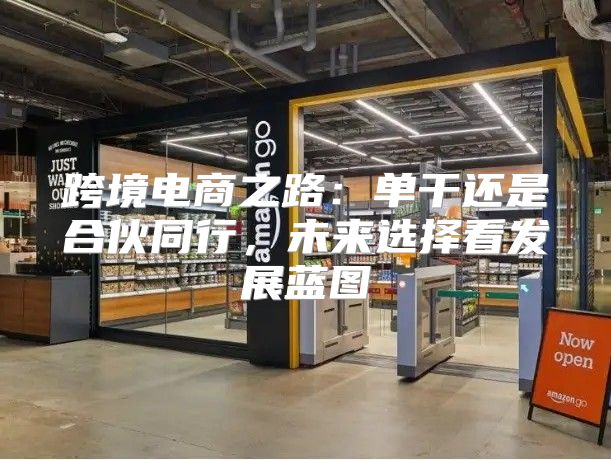 跨境电商之路：单干还是合伙同行，未来选择看发展蓝图