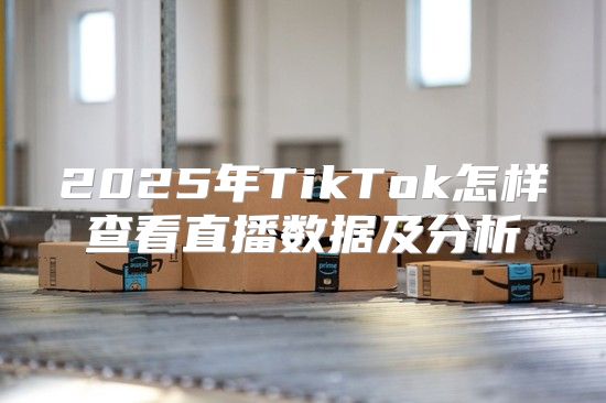 2025年TikTok怎样查看直播数据及分析