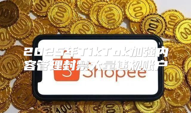 2025年TikTok加强内容管理封禁大量违规账户