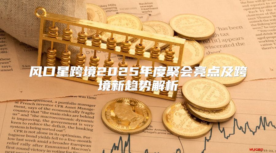 风口星跨境2025年度聚会亮点及跨境新趋势解析