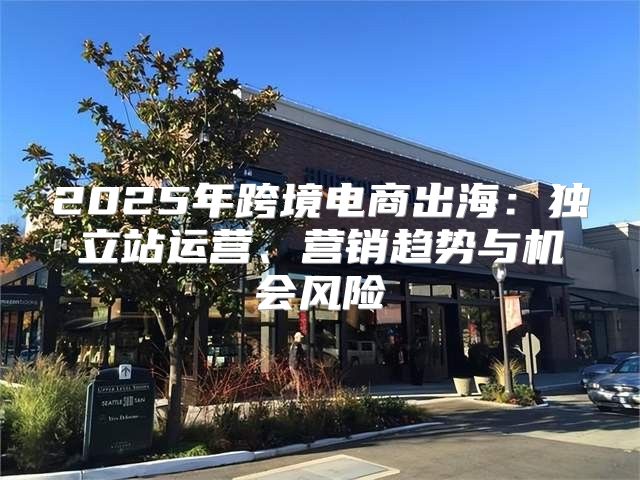 2025年跨境电商出海：独立站运营、营销趋势与机会风险