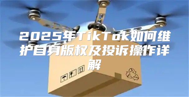 2025年TikTok如何维护自身版权及投诉操作详解