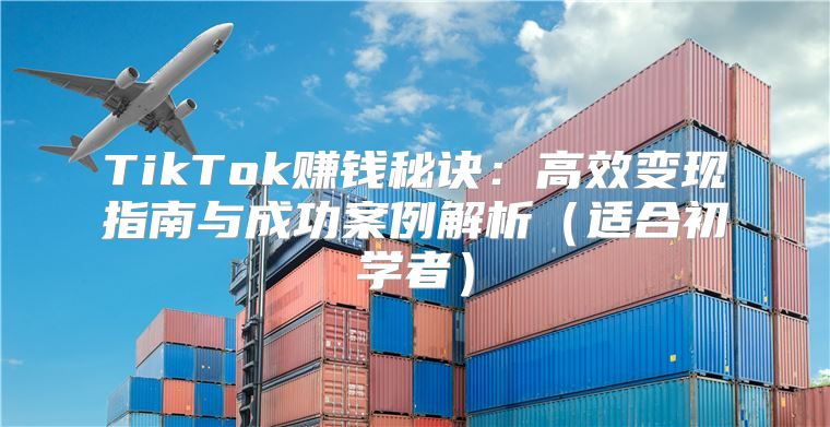 TikTok赚钱秘诀：高效变现指南与成功案例解析适合初学者
