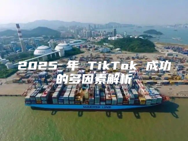 2025 年 TikTok 成功的多因素解析