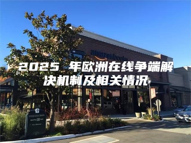2025 年欧洲在线争端解决机制及相关情况