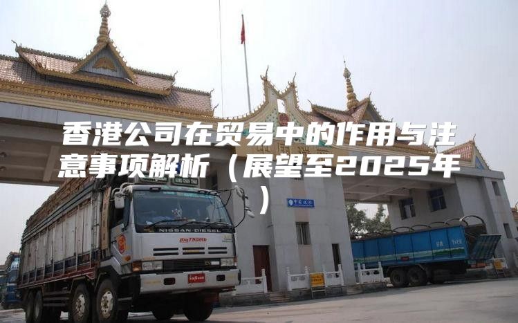 香港公司在贸易中的作用与注意事项解析展望至2025年