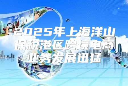 2025年上海洋山保税港区跨境电商业务发展迅猛