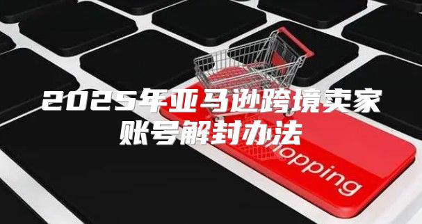 2025年亚马逊跨境卖家账号解封办法