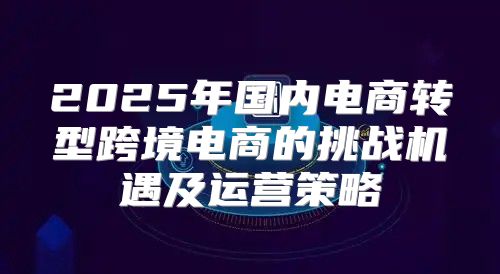 2025年国内电商转型跨境电商的挑战机遇及运营策略