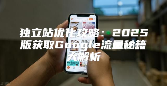 独立站优化攻略：2025版获取Google流量秘籍大解析