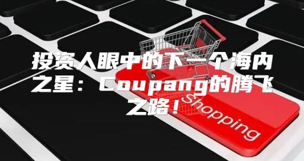 投资人眼中的下一个海内之星：Coupang的腾飞之路！