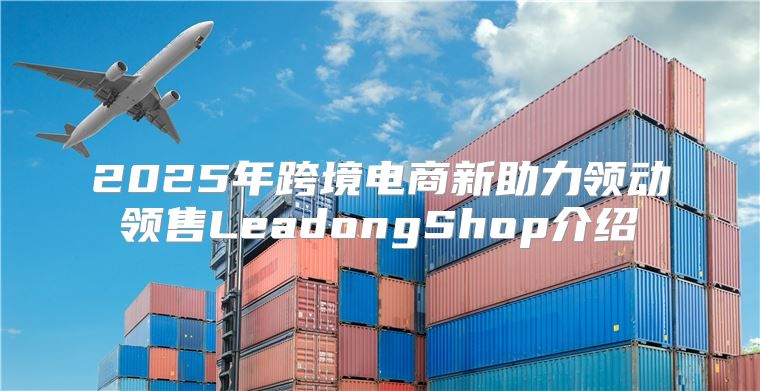 2025年跨境电商新助力领动领售LeadongShop介绍