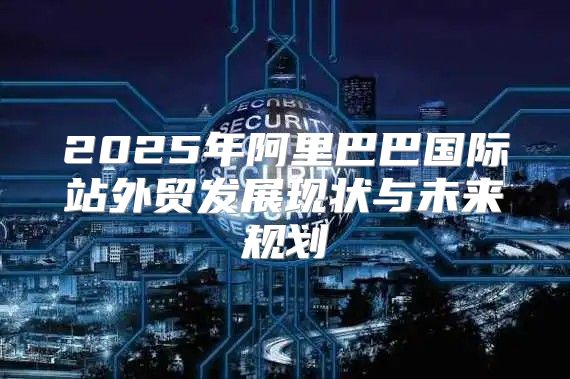 2025年阿里巴巴国际站外贸发展现状与未来规划