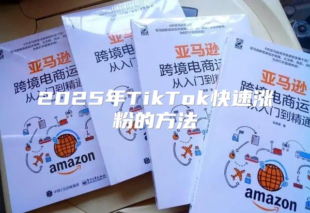 2025年TikTok快速涨粉的方法