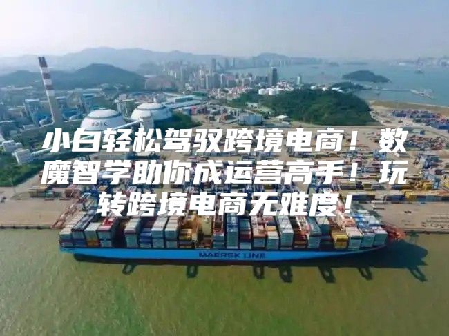 小白轻松驾驭跨境电商！数魔智学助你成运营高手！玩转跨境电商无难度！
