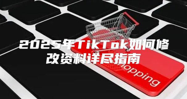2025年TikTok如何修改资料详尽指南