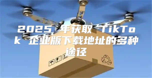 2025 年获取 TikTok 企业版下载地址的多种途径
