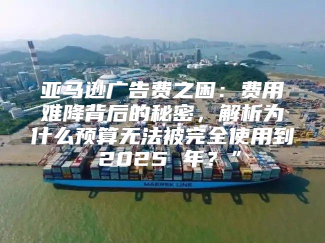 亚马逊广告费之困：费用难降背后的秘密，解析为什么预算无法被完全使用到 2025 年？”