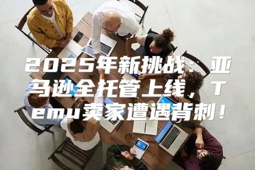 2025年新挑战：亚马逊全托管上线，Temu卖家遭遇背刺！