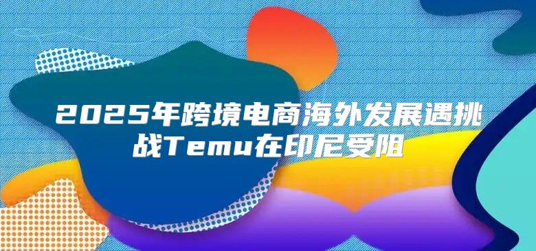 2025年跨境电商海外发展遇挑战Temu在印尼受阻