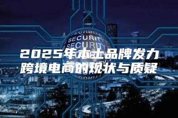 2025年本土品牌发力跨境电商的现状与质疑