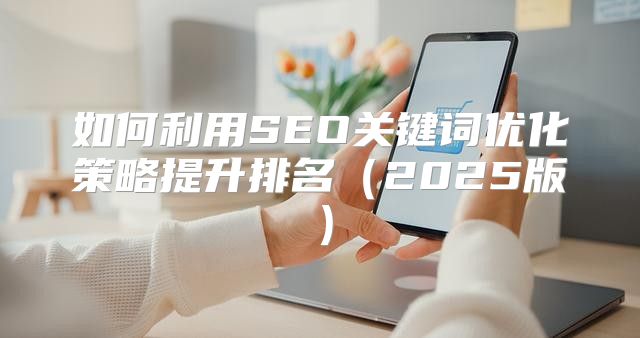 如何利用SEO关键词优化策略提升排名2025版