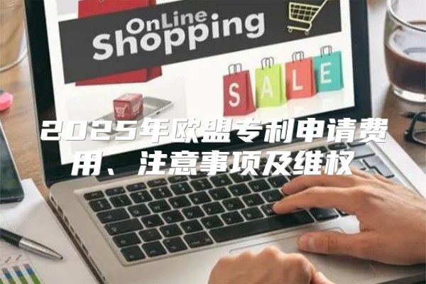 2025年欧盟专利申请费用、注意事项及维权