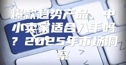 爆款趋势产品，中小卖家适合入手吗？2025年市场洞察