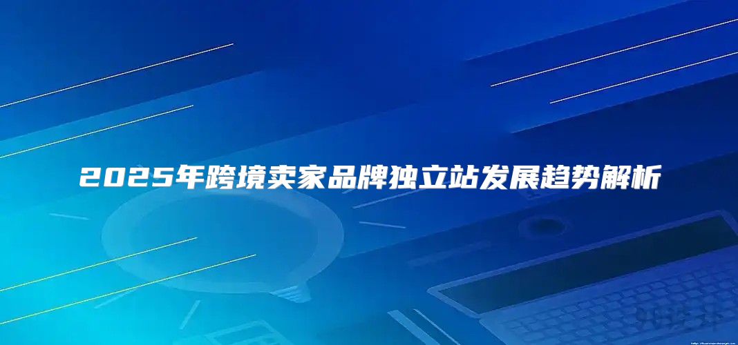 2025年跨境卖家品牌独立站发展趋势解析