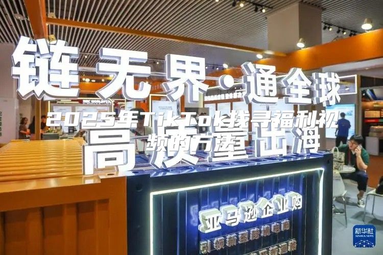2025年TikTok找寻福利视频的方法